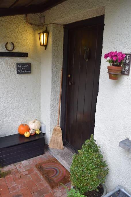 Cedra Cottage - Vintage Country Hideaway Axminster Kültér fotó