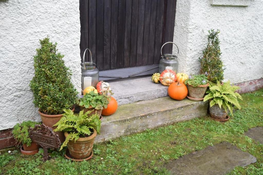 Cedra Cottage - Vintage Country Hideaway Axminster Kültér fotó